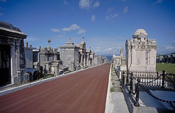 cementerio de la Ballena