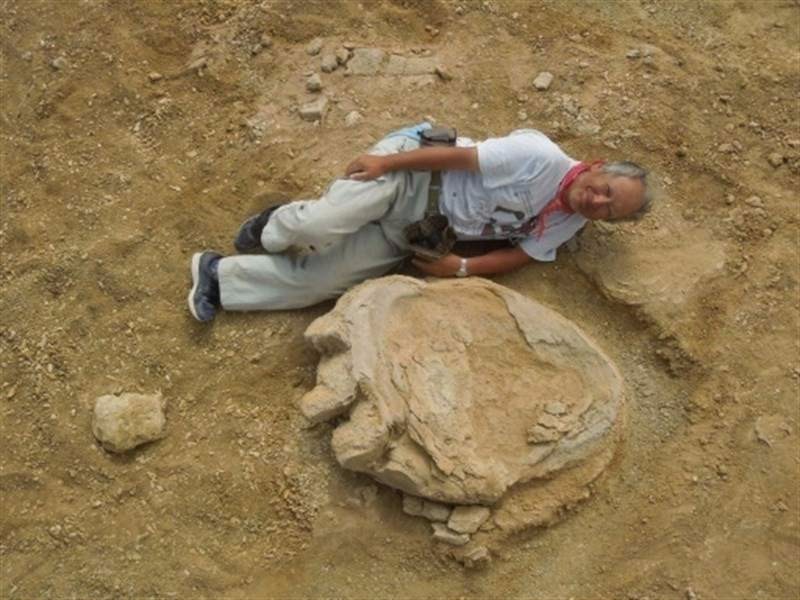 Dinosaurios en el Desierto de Gobi