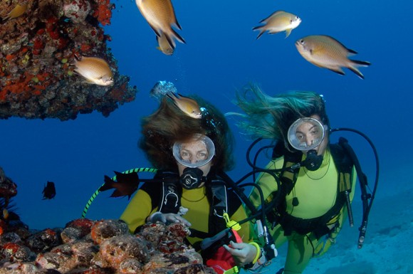 Canarias … ¡bucea