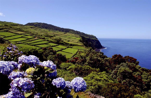 Terceira, la isla violeta