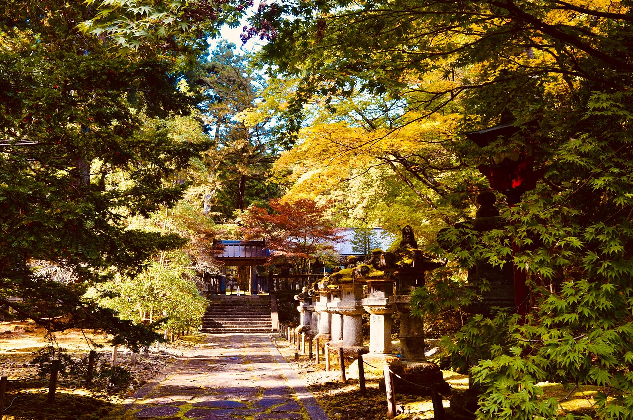 momiji-japon