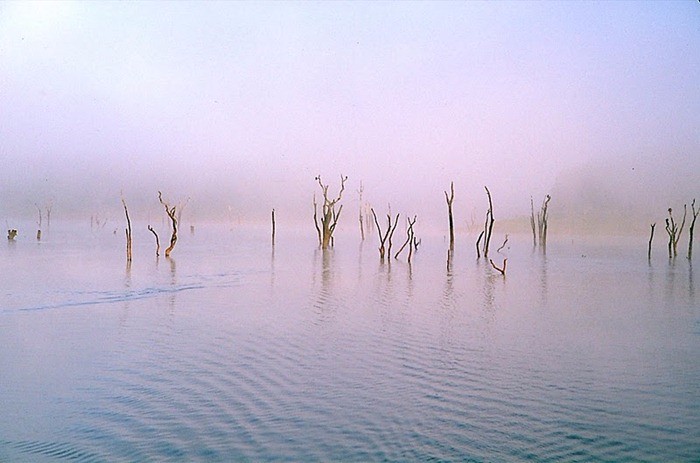 Lago Periyar